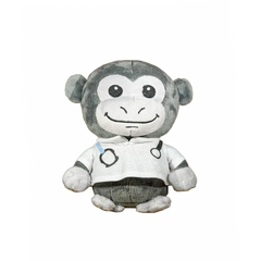 Baby Monkey Image
